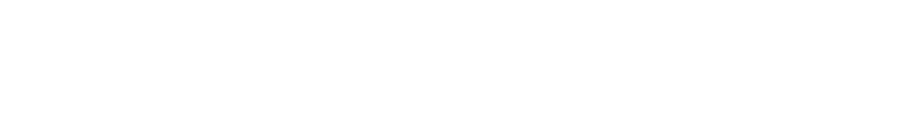 FS logo line